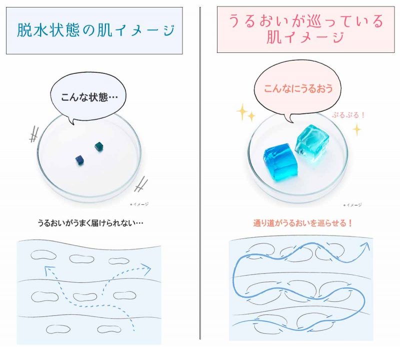 オルビスユー　脱水状態の肌とうるおっている肌
